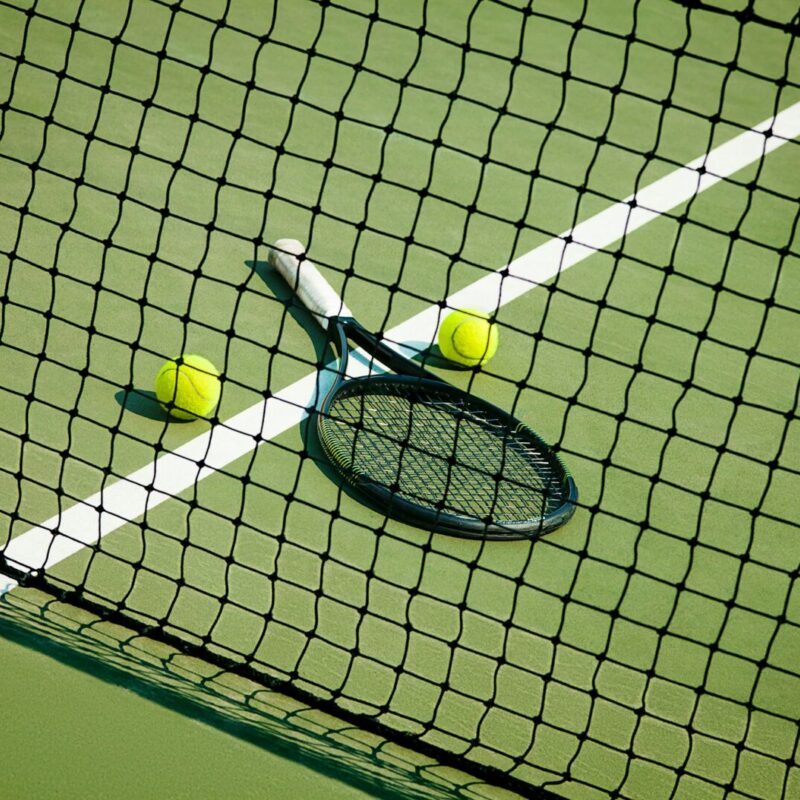 The tennis ball on a tennis court