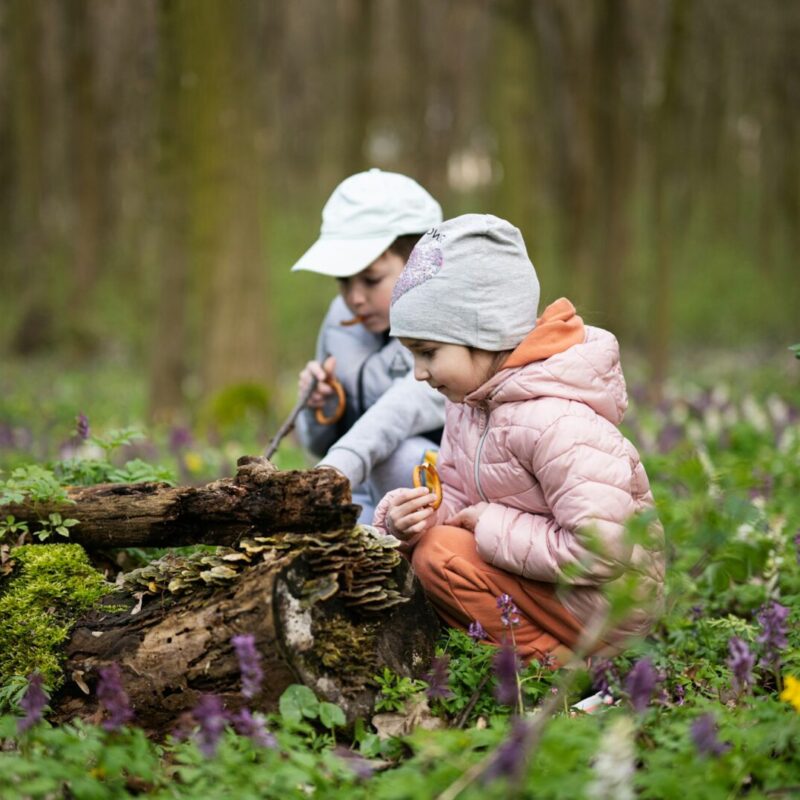 Brother with sister discover wood at spring forest.