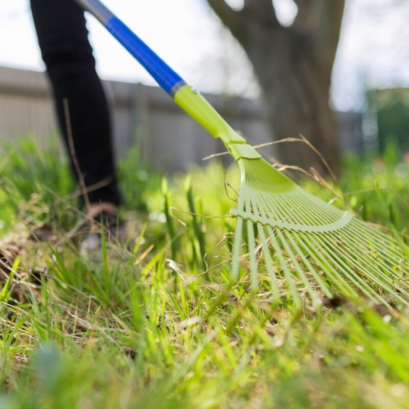 Spring cleaning in the garden, closeup rake cleaning green grass